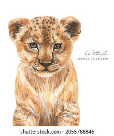Watercolor Baby Lion. Animal Cub Illustration