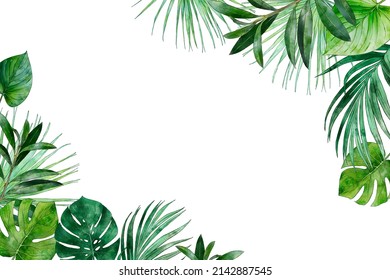 Watercolor Background Of Tropical Green Plants. Vintage Green.  Botanical Hand Drawn Illustration. Highly Detailed Plant Template. Palm Leaves. Exotic