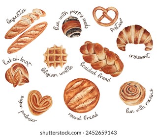 Watercolor bakery collection. French bread baguette. Long loaf, belgium waffle, braided bread, croissant, sugar palmier, bun with raisins, bun with poppy seeds, pretzel, baked knot. - Powered by Shutterstock