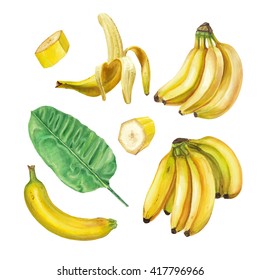 Watercolor Banana Set