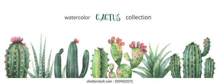 Watercolor banner of cacti and succulent plants isolated on white background. Flower illustration for your projects, greeting cards and invitations.