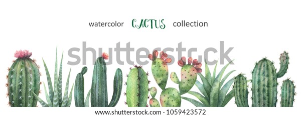 白い背景にサボテンと多肉質の植物の水色のバナー プロジェクト グリーティングカード 招待状の花のイラスト のイラスト素材 1059423572