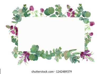 Watercolor banner with silver leaves and branches of eucalyptus dollar, green fresh bouquet of medicinal eucalyptus with medicinal plants, red clover, willow-herb, Echinacea, Melissa and mint.