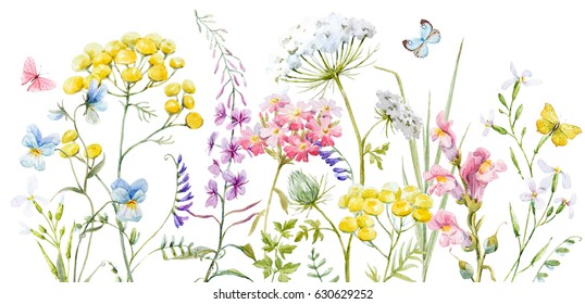 Watercolor banner with wildflowers, tansy, yellow buttercup, blue pansies, tender pink flowers and butterflies