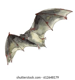 7,299 Watercolor bat Images, Stock Photos & Vectors | Shutterstock