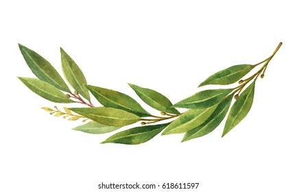 Watercolor Bay leaf wreath isolated on white background. Hand drawn illustration for sports achievements, invitations, awards, victories and success..