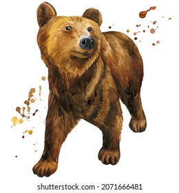 Cartoon Grizzly Bear Images, Stock Photos & Vectors 