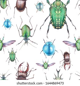 Watercolor beetles seamless pattern. Hand drawn texture with bud on white background