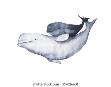 Watercolor beluga whale dolphin Painting   Hand painted realistic illustration isolated white background  Realistic underwater animal art  Mom   baby