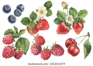 Watercolor berries set hand drawn illustration. Blueberry strawberry cherry raspberry. Fresh berry - Powered by Shutterstock