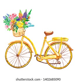 cute bikes with baskets