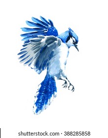 Watercolor Bird Blue Jay Flying Hand Painted Illustration Isolated On White Background