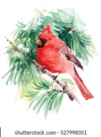 Watercolor Bird Cardinal Winter Christmas Hand Painted Greeting Card Illustration
