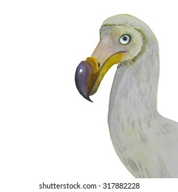 Watercolor Bird Dodo Stock Illustration 317882228 | Shutterstock