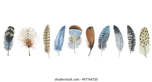 Watercolor Bird Feather From Wing Isolated. Aquarelle Feather For Background, Texture, Wrapper Pattern, Frame Or Border.