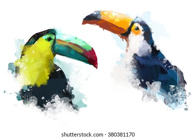 Watercolor Bird, Illustration Toucan