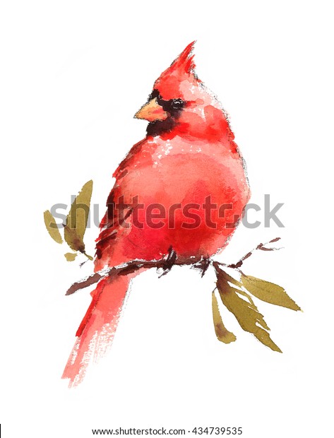 白い背景に水彩の鳥の赤い枢機卿手描きのイラスト のイラスト素材