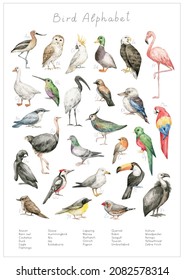 Watercolor birds alphabet. ABC poster for kids. English alphabet. Hand-painted educational set. Cute wild bird. Nursery wall art, poster. Wild world.