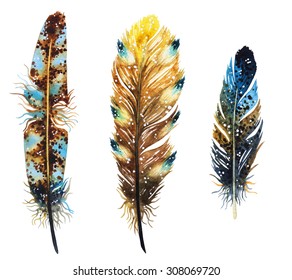 Watercolor birds feathers set. Hand painted artistic elements. 