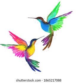 Download Hummingbird Clipart Hd Stock Images Shutterstock