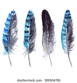 Watercolor Black And Blue Jay Feather Set Isolated