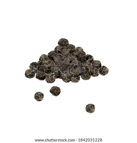 Watercolor black pepper. Hand drawn pile of dried peppercornes isolated on white. Spice for cooking, recipe, packaging design. Natural ingredient for seasonging.