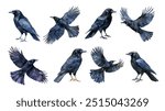 Watercolor black raven. Illustration clipart isolated on white background.