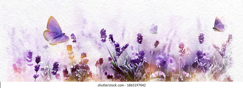 Watercolor Blossoming Lavender flowers and flying butterfly in summer morning background . Purple growing Lavender banner.