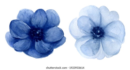 Isolated Blue Flower 图片 库存照片和矢量图 Shutterstock