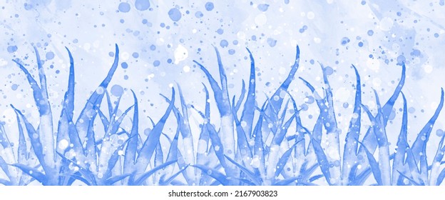 Watercolor Blue Background, Blot, Blob, Splash Of Blue Paint. Watercolor Drawing. Sea Bottom With Algae, Wild Grass, Plants. Watercolor Banner. Multi-colored Seaweed. Colorful Summer Landscape. 