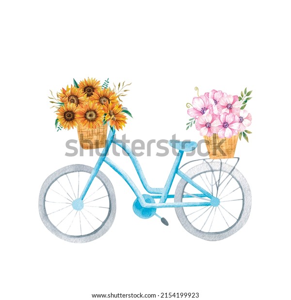 Watercolor blue\
bicycle with flowers basket. Hand drawn illustration with\
sunflowers and anemones in\
basket.