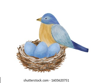 Robin Egg Blue Images Stock Photos Vectors Shutterstock