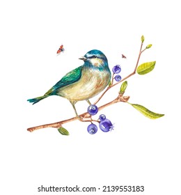 631 Watercolor bluebird Images, Stock Photos & Vectors | Shutterstock