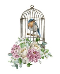 Watercolor Blue Bird In The White Rustic Birdcage With Blooming Spring Flowers And Green Leaves. Watercolor Hand Drawn Illustration. White And Pink Peonies Flower Bouquet. Vintage Style.