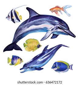 Watercolor blue dolphins and colored tropical fishes on a white background
