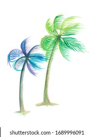 watercolor of blue and green coconut trees are blown by the wind illustration