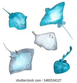 Watercolor Blue Grey Ocean Stingray Set