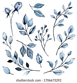 Watercolor blue indigo leaves set. Botanical illustration isolated on white background. Hand painting leaf. Perfectly for greeting card, wedding invitation, poster, stickers and other printing. 