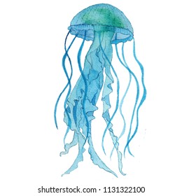 Watercolor Blue Jellyfish