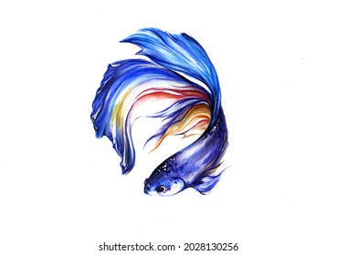 Watercolor Blue Little Fish Illustration 