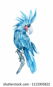 Watercolor Blue Parrot