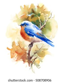 Watercolor Bluebird On The Branch With Autumn Leaves Hand Painted Fall Illustration