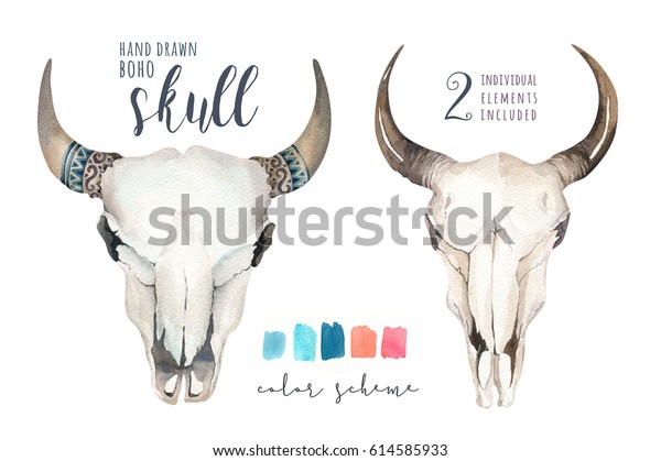 Watercolor Bohemian Cow Skull Feather Western Stock Illustration
