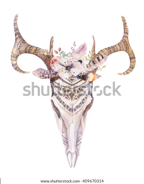 Watercolor Bohemian Deer Skull Western Mammalsl Stockillustration