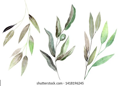 Watercolor Floral Illustration Set Green Leaf Stock Illustration 1590062920