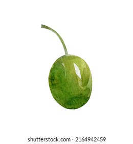 Watercolor Botanical Clipart Green Olive Stock Illustration Shutterstock