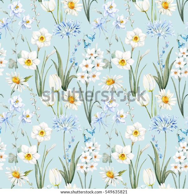 水彩植物花柄 壁紙の春 水仙の花 デイジーの白い背景に青のアキレジア 穏やかな青の背景 アガパンツス のイラスト素材