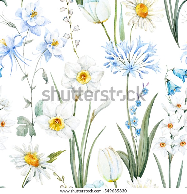 水彩植物花卉图案 壁纸春天 水仙花 菊花白 蓝色aquilegia 白色背景库存插图