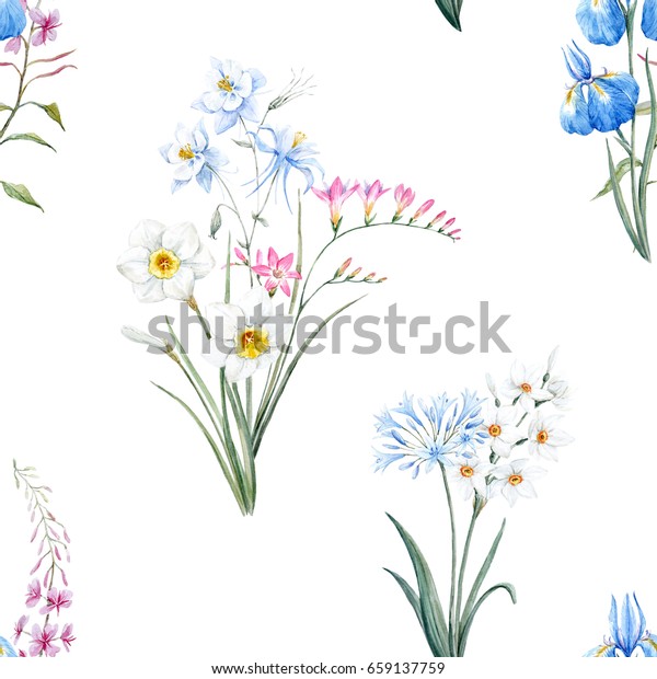 水彩植物花柄 壁紙の春 水仙の花 デイジーの白い背景に青のアキレジア 白い背景 のイラスト素材