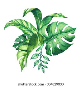 Watercolor Botanical Illustration Of Green Tropical Palm Leaves, Floral Arrangement Isolated On White Background